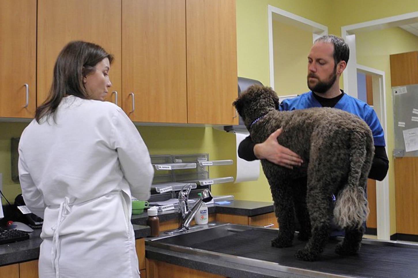 Services | Atlantic Animal Hospital